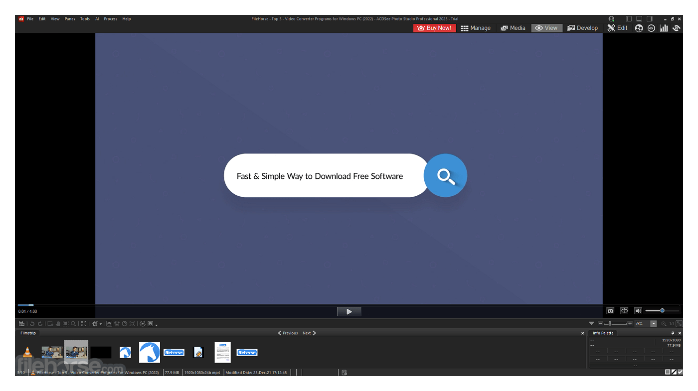 ACDSee Photo Studio Professional 2026 19.0.1 Build 3450 (64-bit) 畫面截圖 2