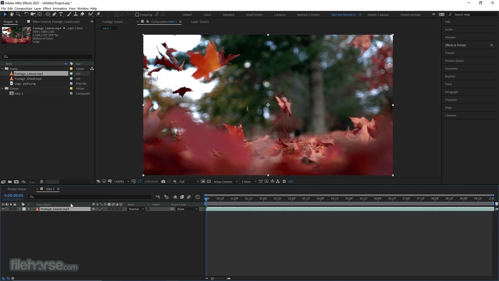 Adobe After Effects CC 2026 畫面截圖 1