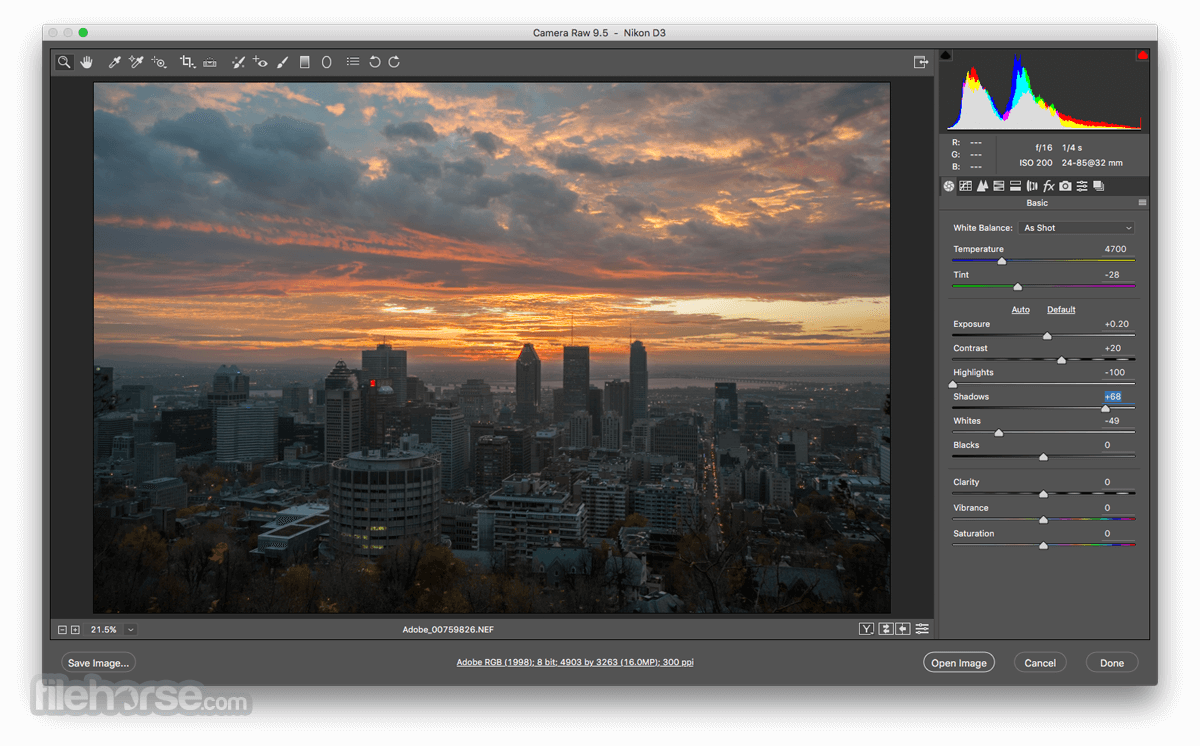 Adobe Camera Raw 畫面截圖 1