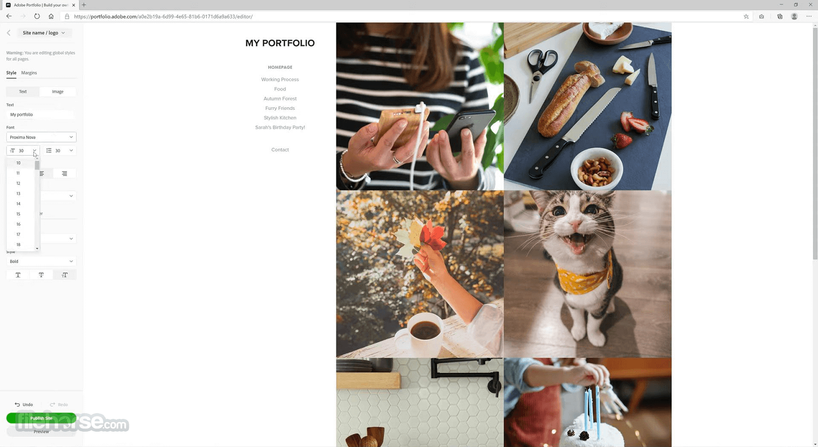 Adobe Portfolio 畫面截圖 3