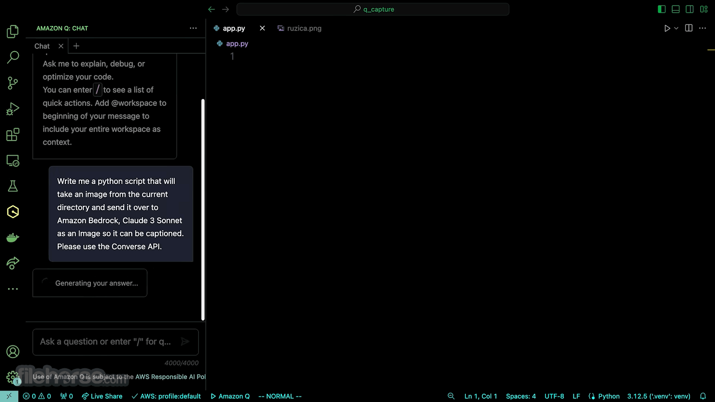 Amazon Q Developer 畫面截圖 1