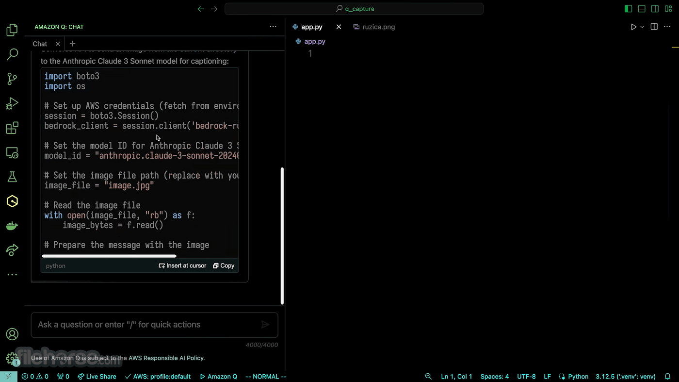 Amazon Q Developer 畫面截圖 2