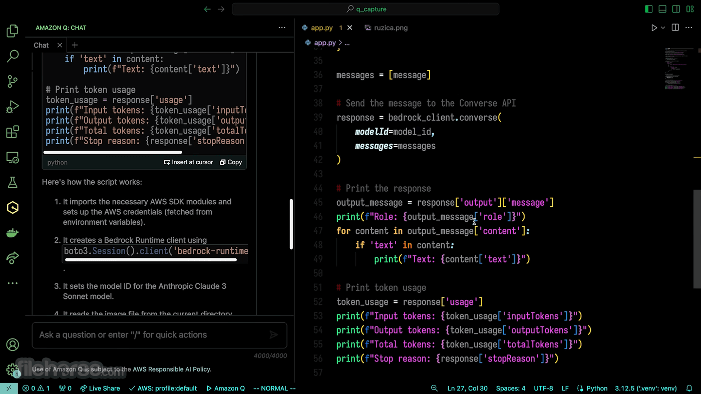 Amazon Q Developer 畫面截圖 3
