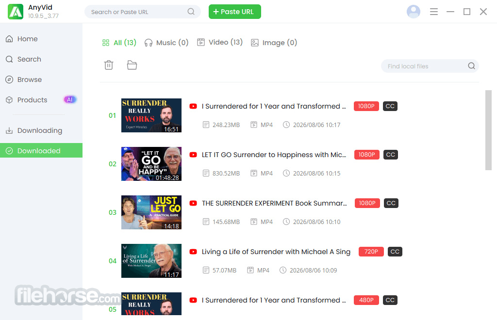 AnyVid for Windows 10.9.5 (64-bit) 畫面截圖 4