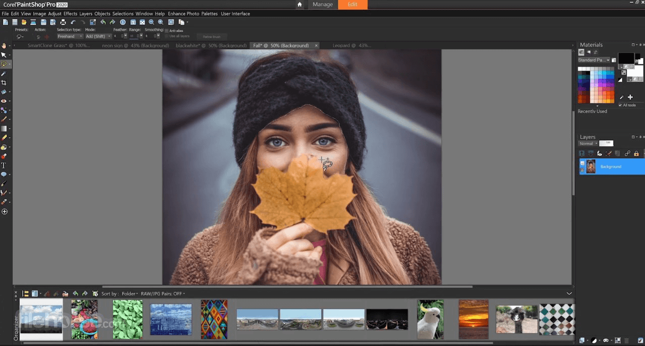 Corel PaintShop Pro 畫面截圖 2