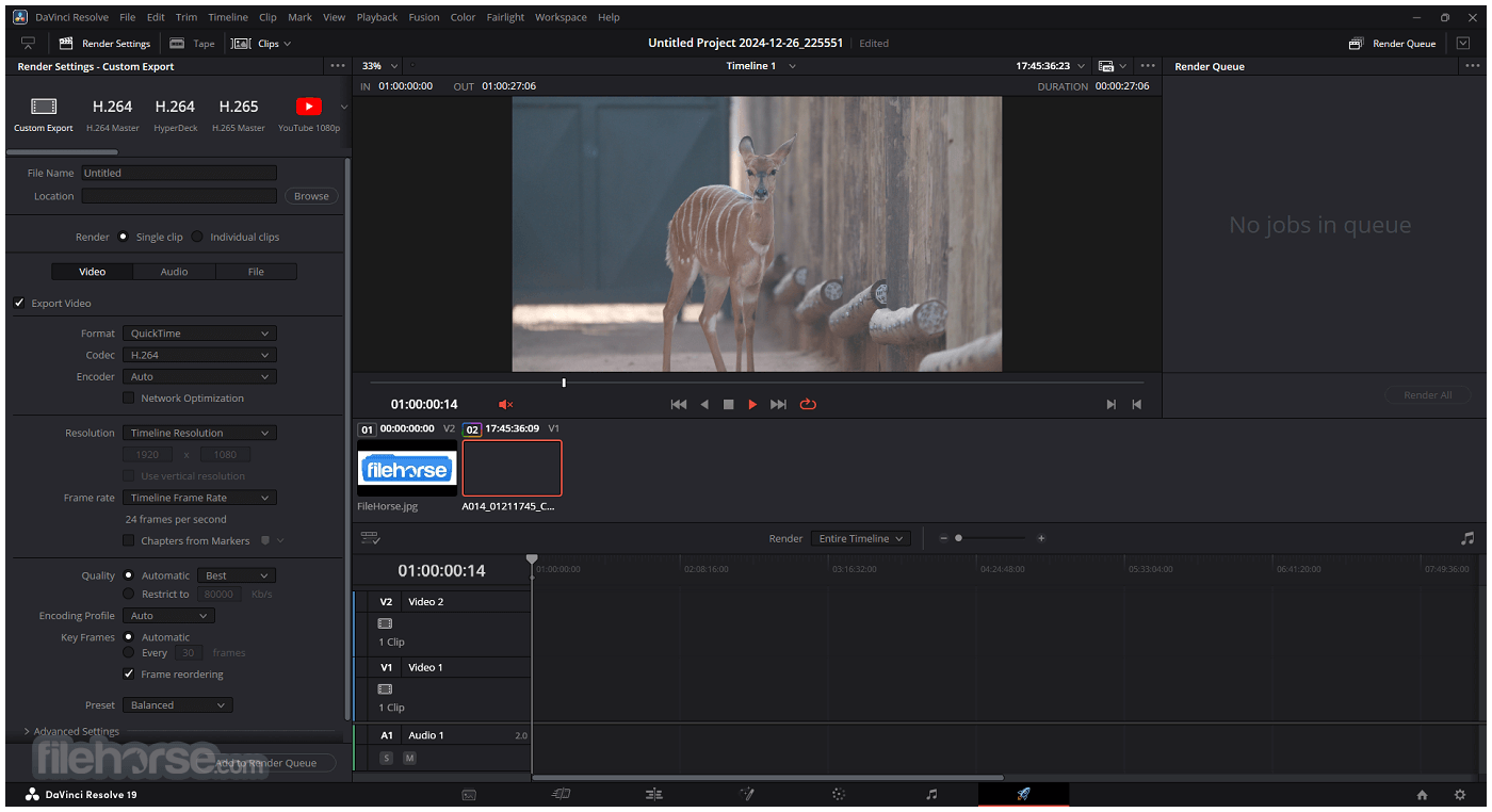 DaVinci Resolve 畫面截圖 5