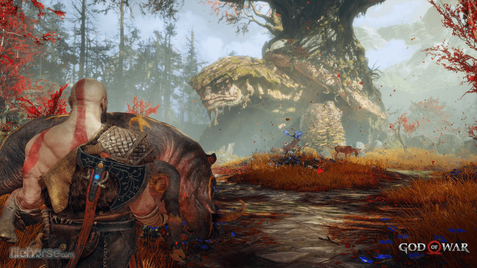 God of War for PC 畫面截圖 4