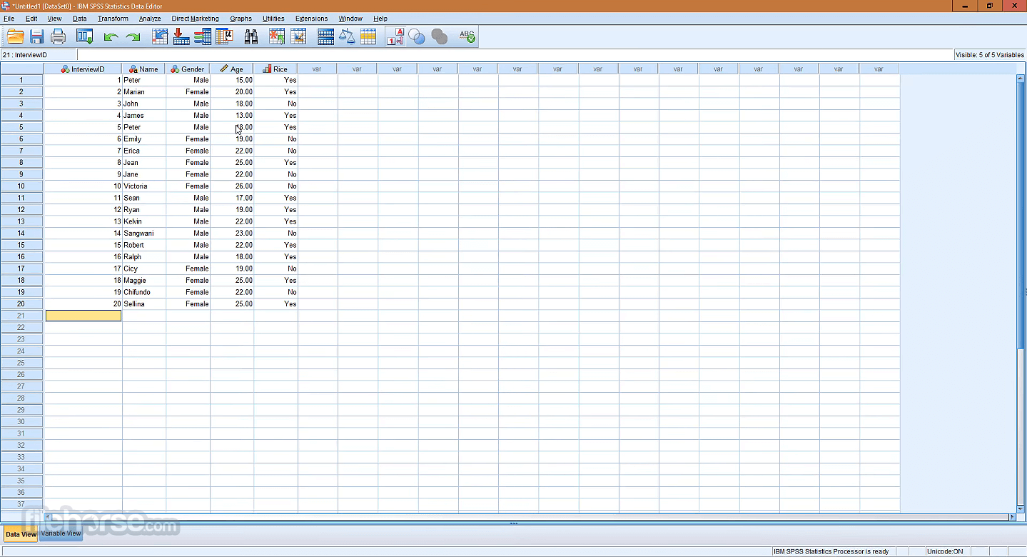 IBM SPSS Statistics 畫面截圖 3