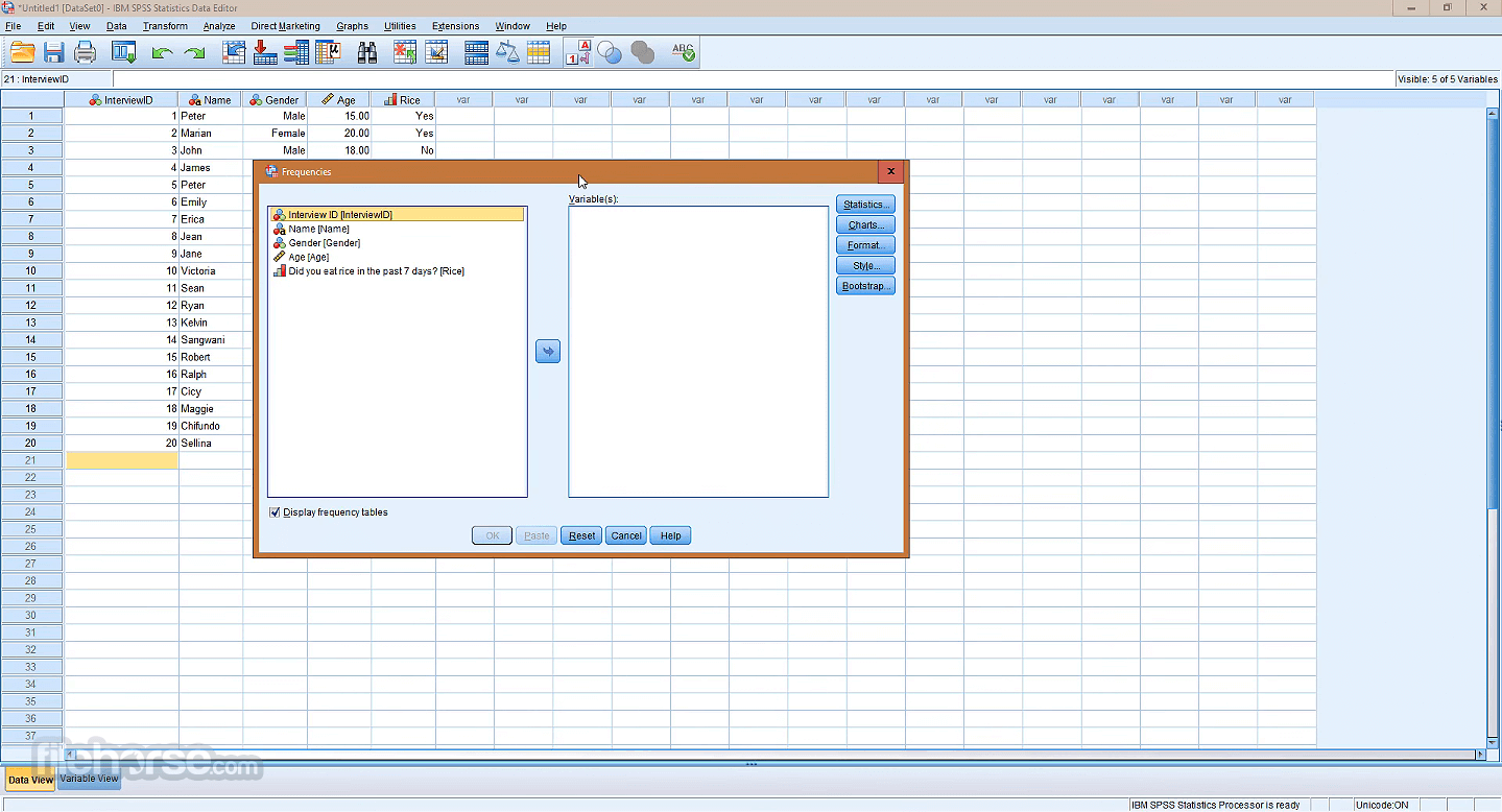 IBM SPSS Statistics 畫面截圖 4
