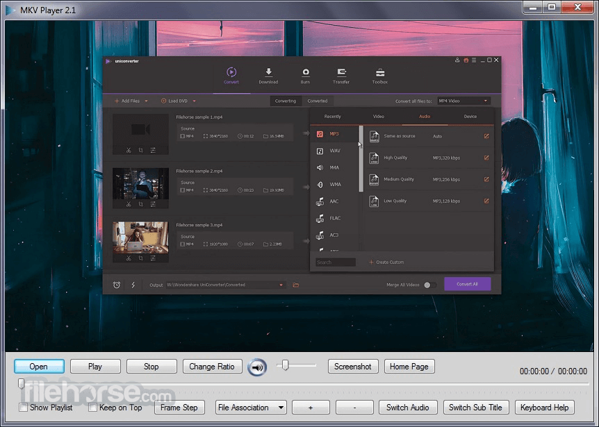 MKV Player 畫面截圖 1