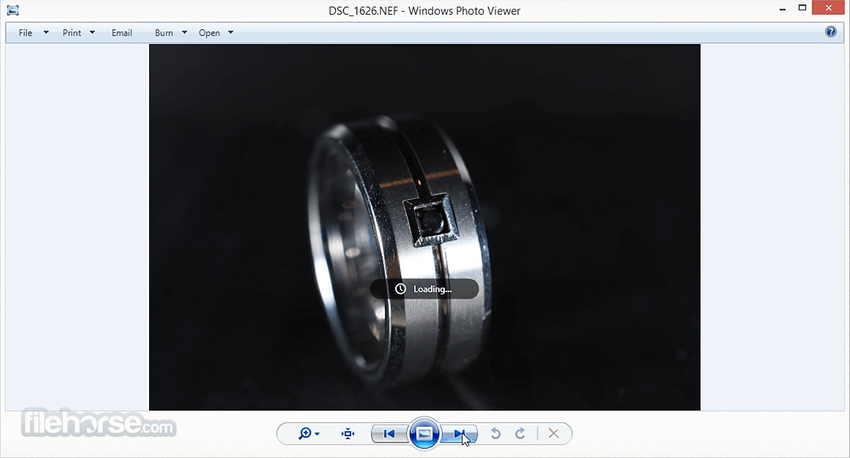 Nikon NEF Codec 畫面截圖 3