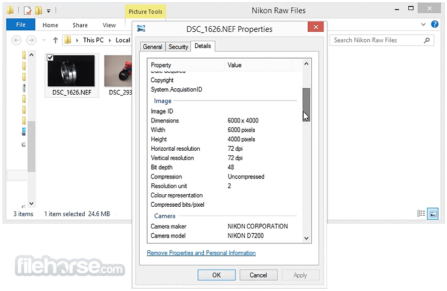 Nikon NEF Codec 畫面截圖 4