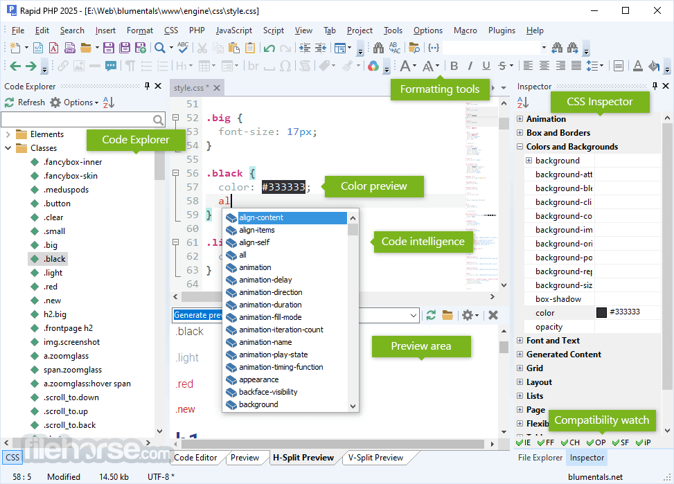 Rapid PHP Editor 2025 畫面截圖 4