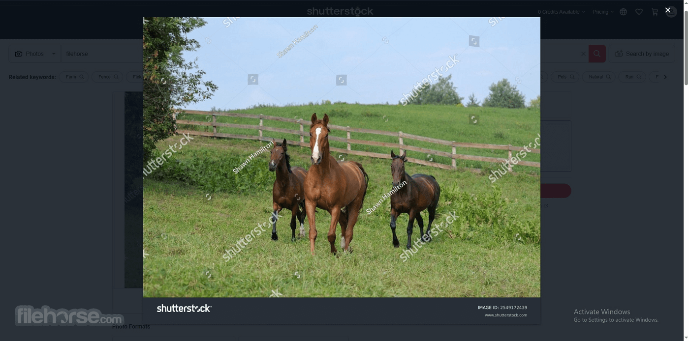 Shutterstock - Stock Image & Video 畫面截圖 3