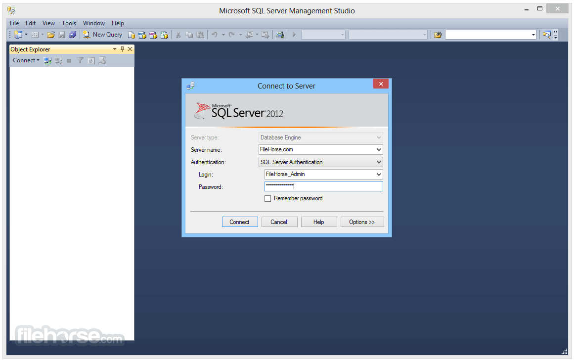 SQL Server Management Studio 畫面截圖 1