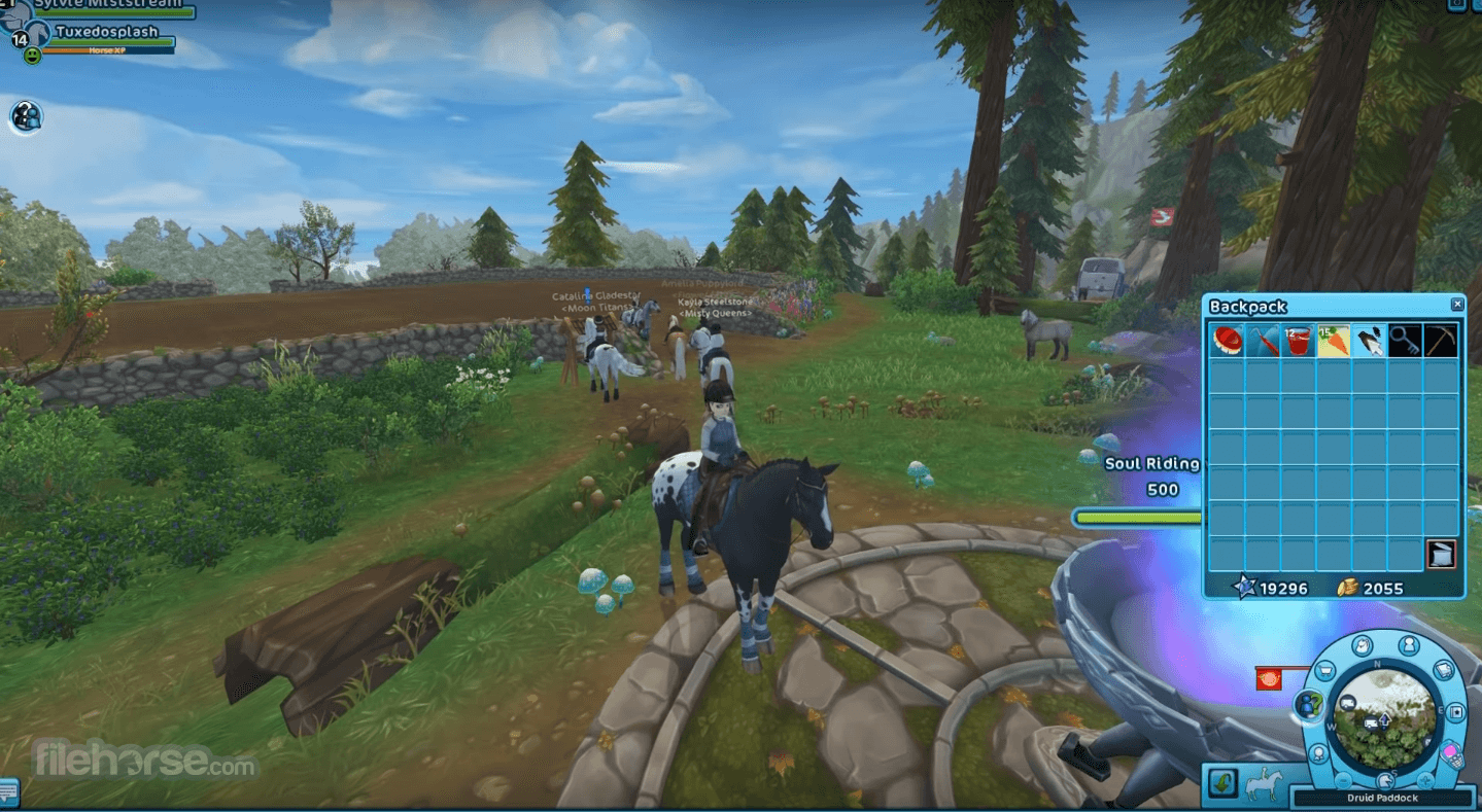 Star Stable 畫面截圖 3