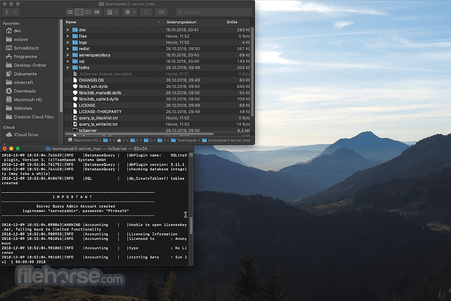 TeamSpeak Server 畫面截圖 1