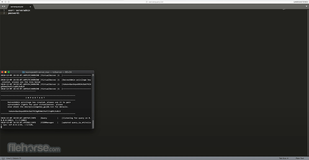 TeamSpeak Server 畫面截圖 3