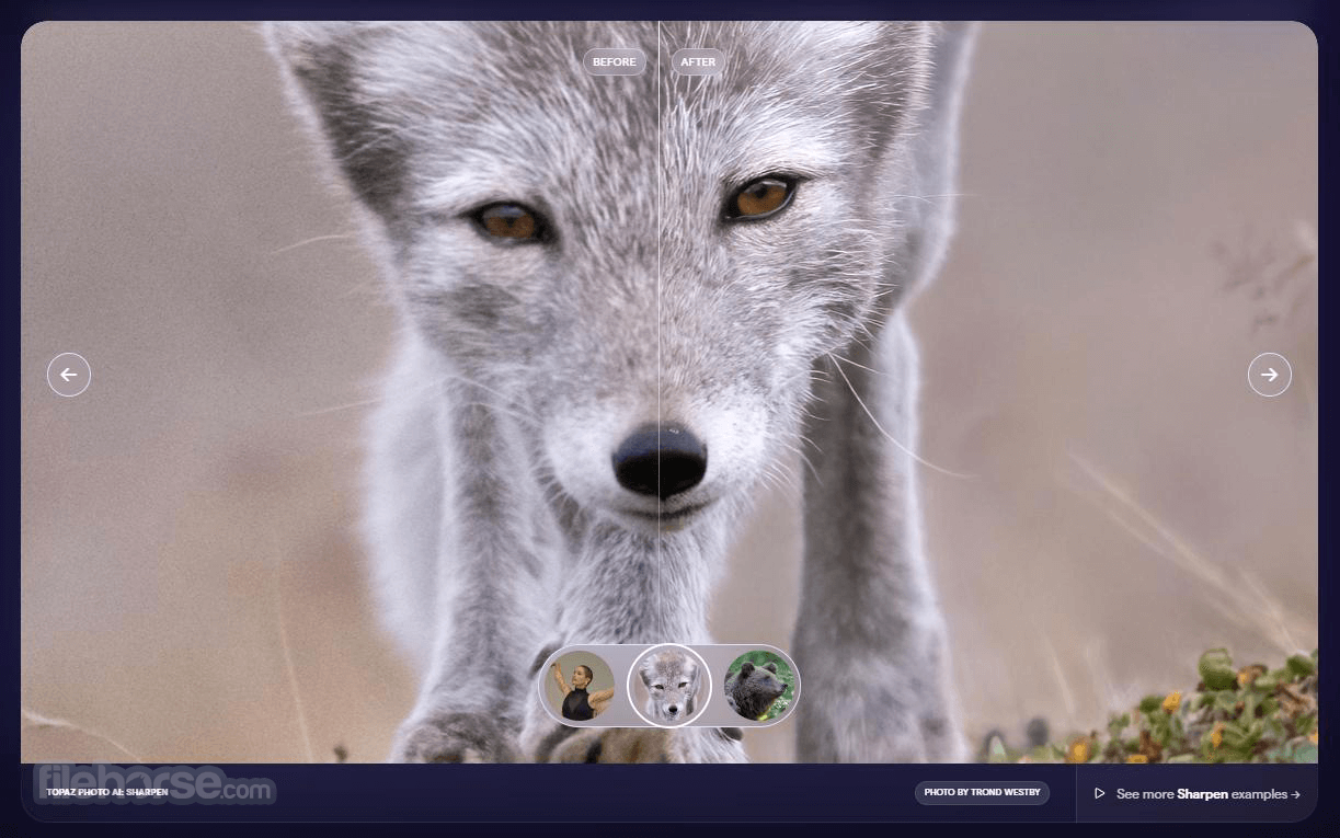 Topaz Photo AI 畫面截圖 3