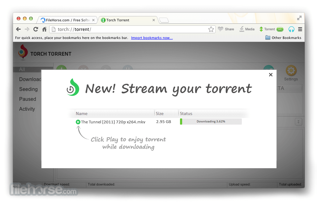 Torch Browser 畫面截圖 2