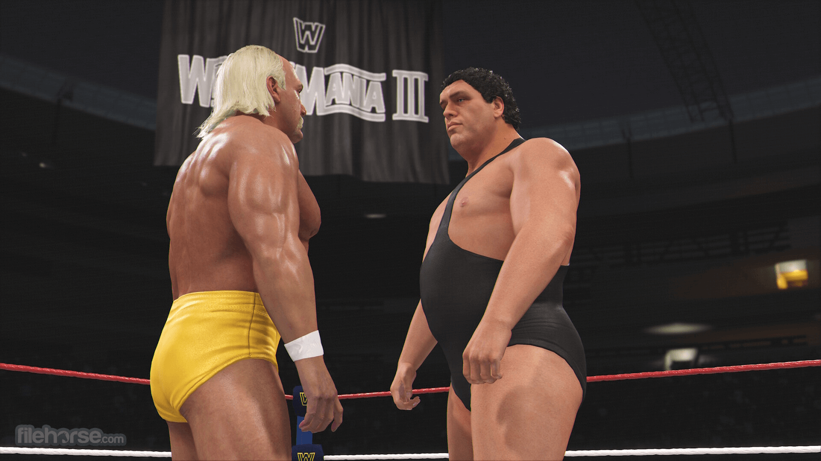 WWE 畫面截圖 5