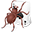 Free Spider Solitaire 2020 圖示