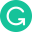 Grammarly for MS Office 圖示
