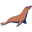 MariaDB