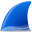 Wireshark 4.6.8 (64-bit) 圖示